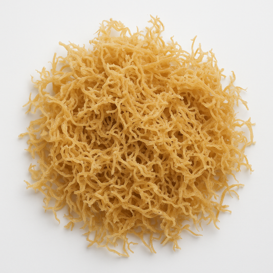 Wildcrafted Seamoss | Mineral Rich Seaweed